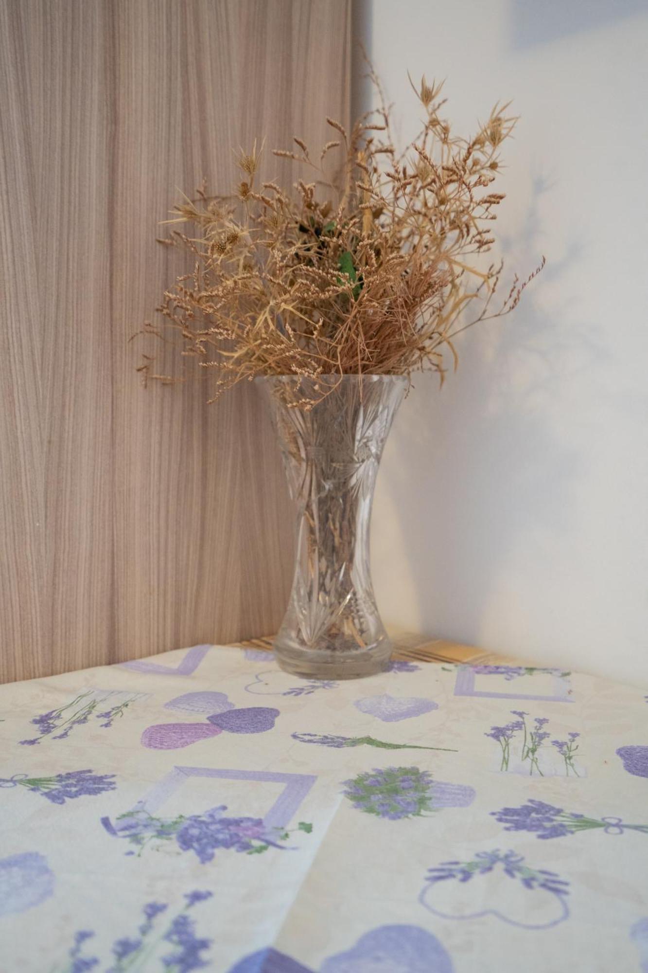 Apartmani Vidusin 노바야 외부 사진